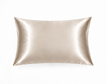 Luxury Multi Color | 19 momme silk pillowcases | 100% Mulberry silk